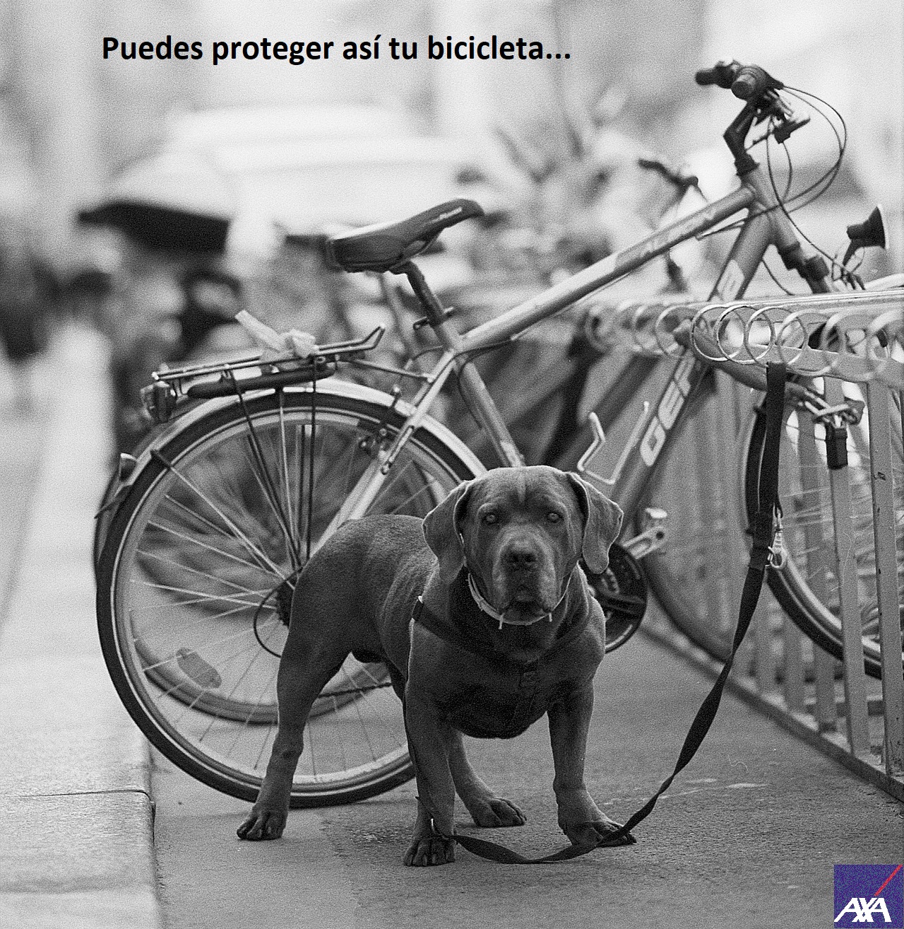 Puedes proteger así tu bicicleta